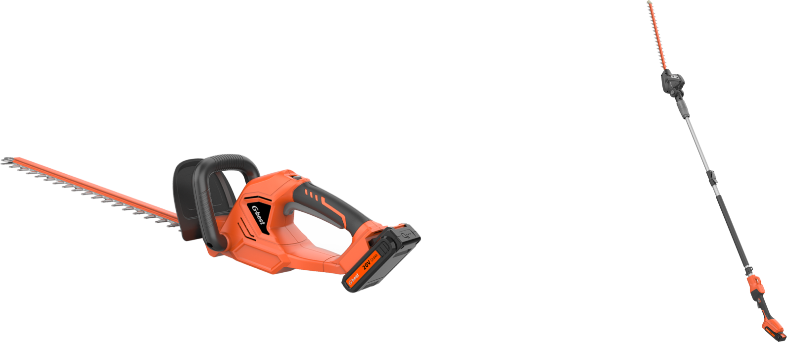 BVA20