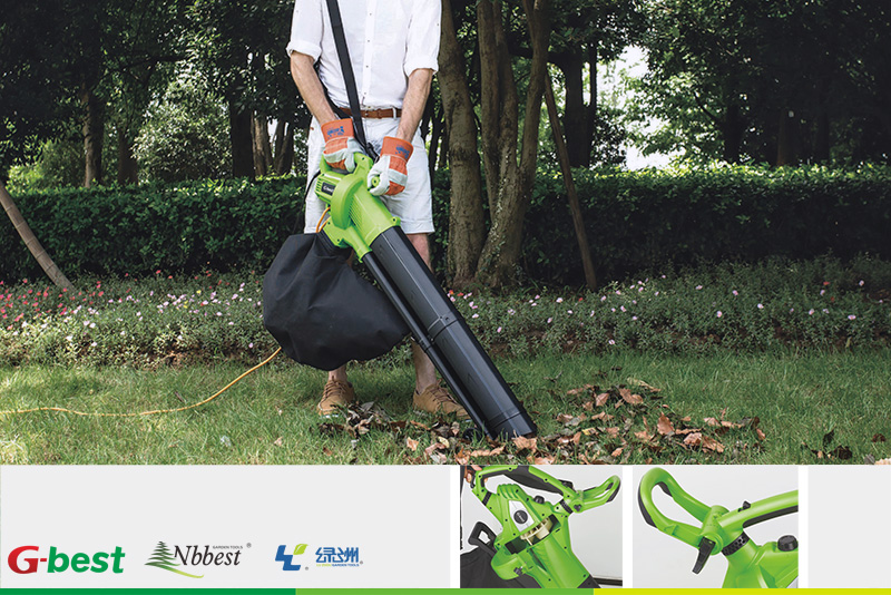 Blower Vacuum